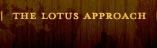 Lotus' Approach